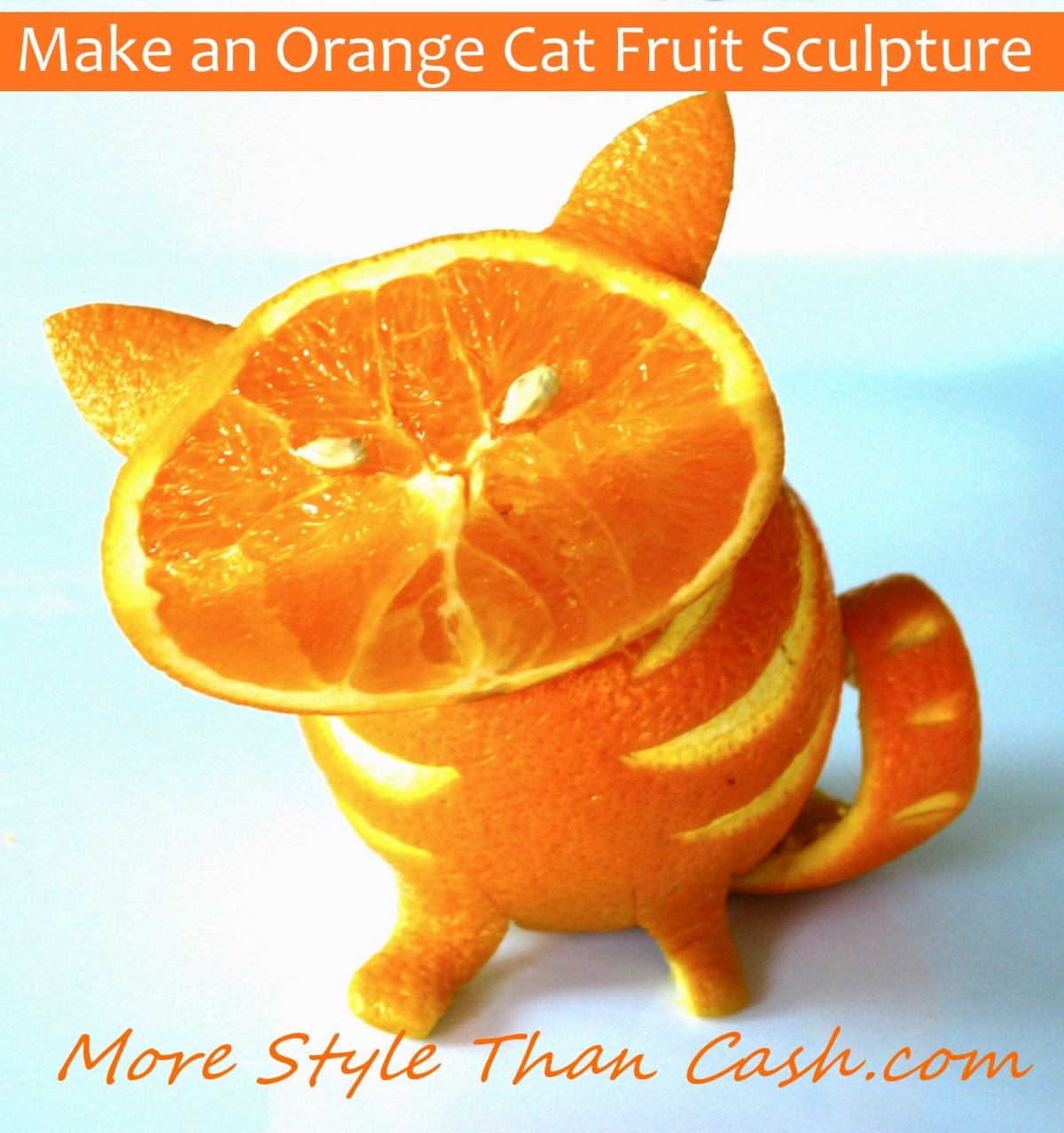 День апельсиновых котов 4 марта