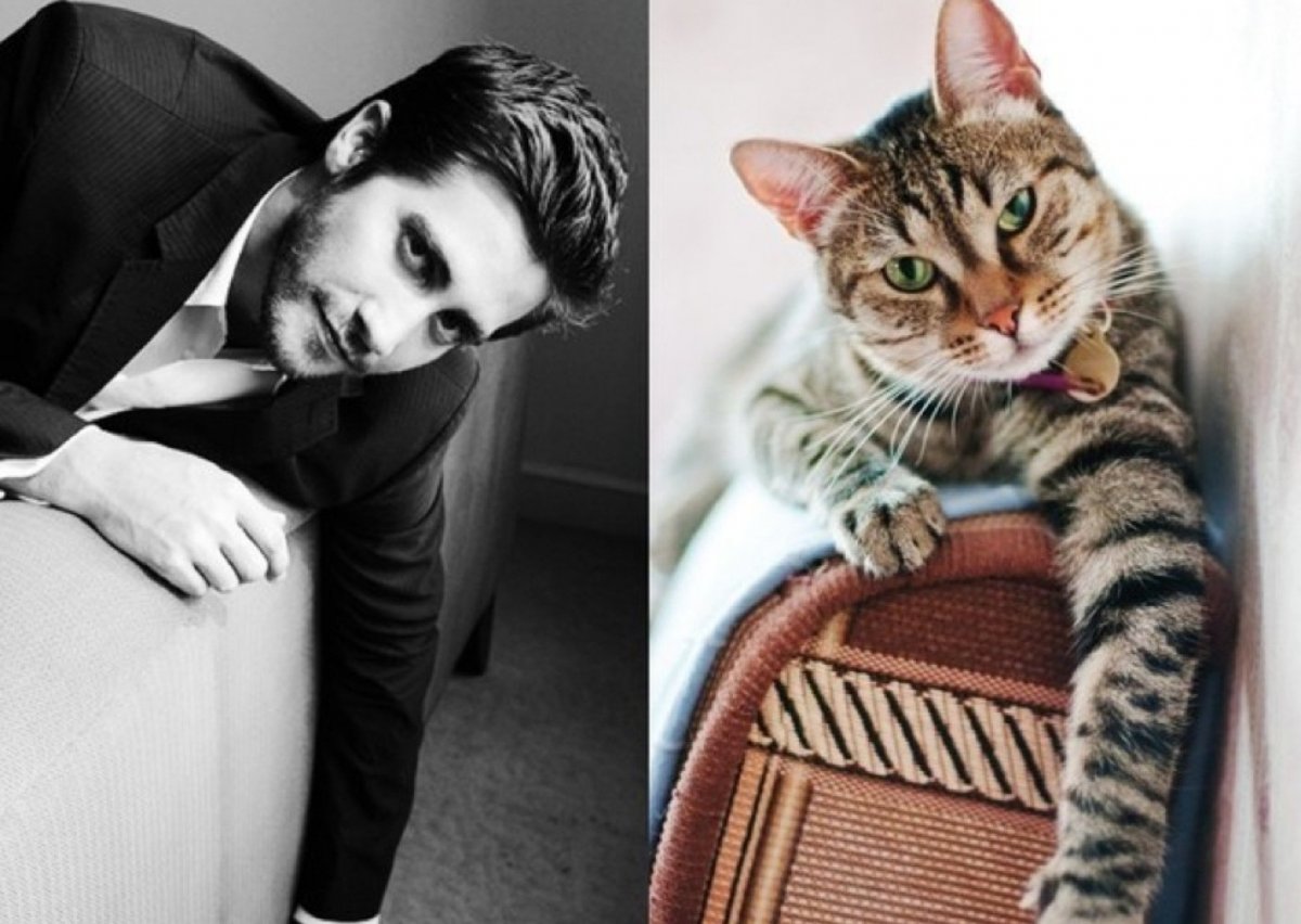 Сигнус Регулус Пауэрс