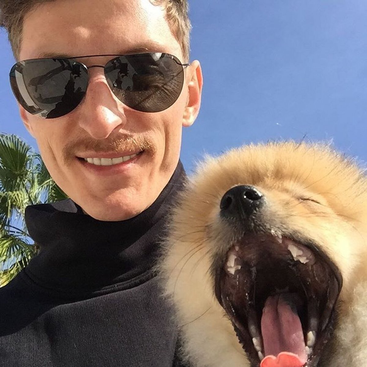 Собака Павла воли