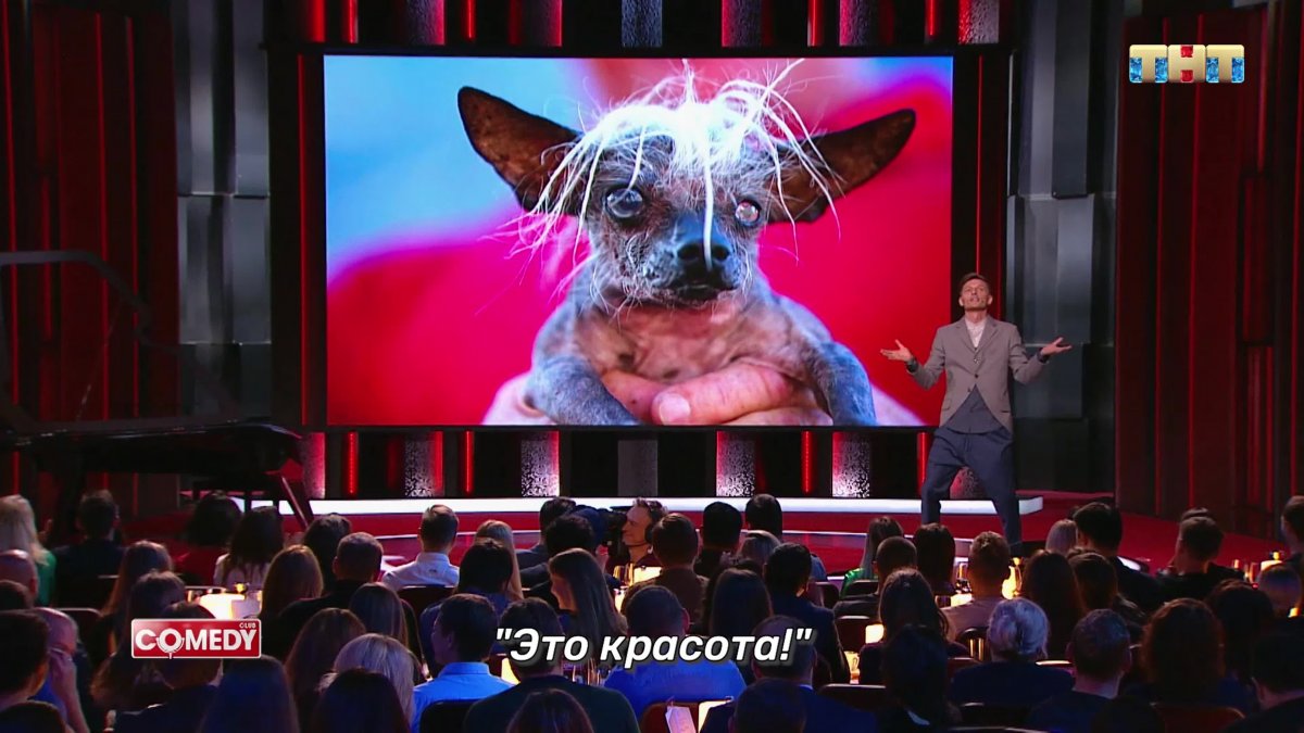 Павел Воля про карантин