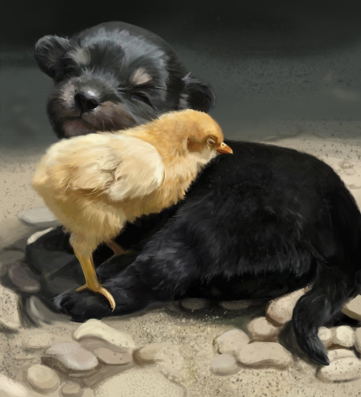 Собака и куры