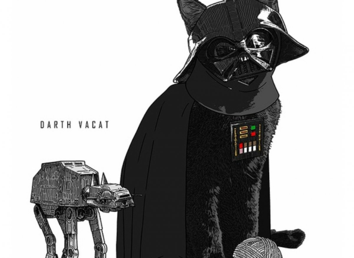 Кот Звездные войны