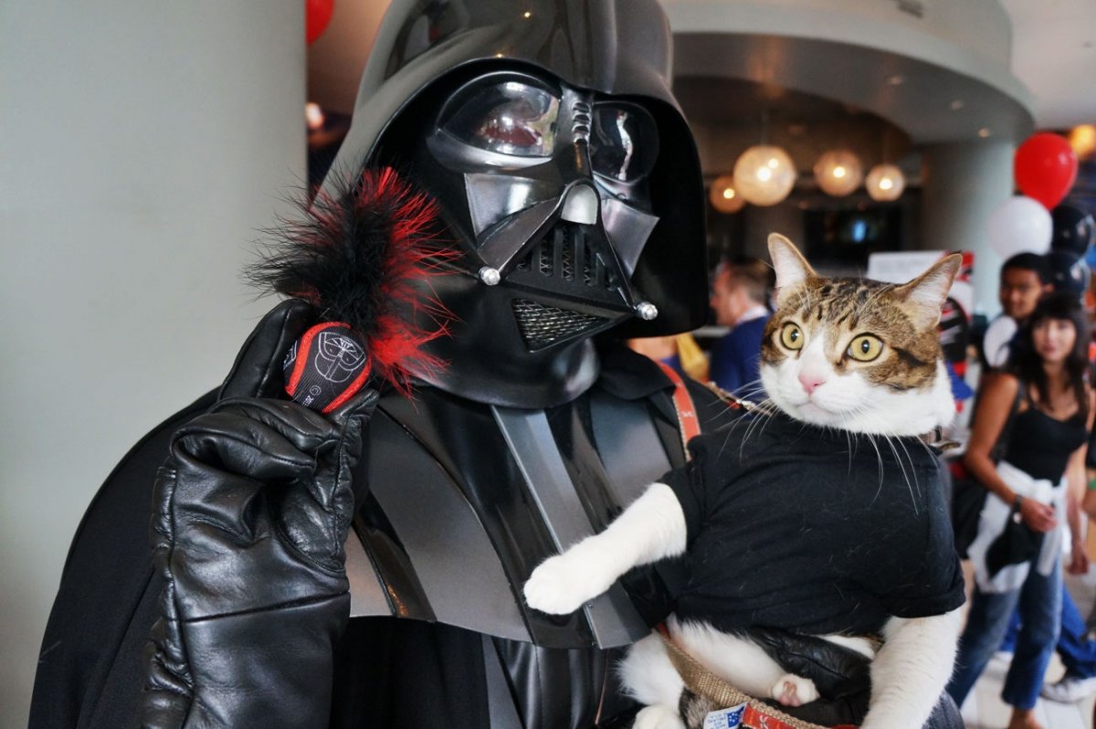 Костюм Дарта Вейдера для кота