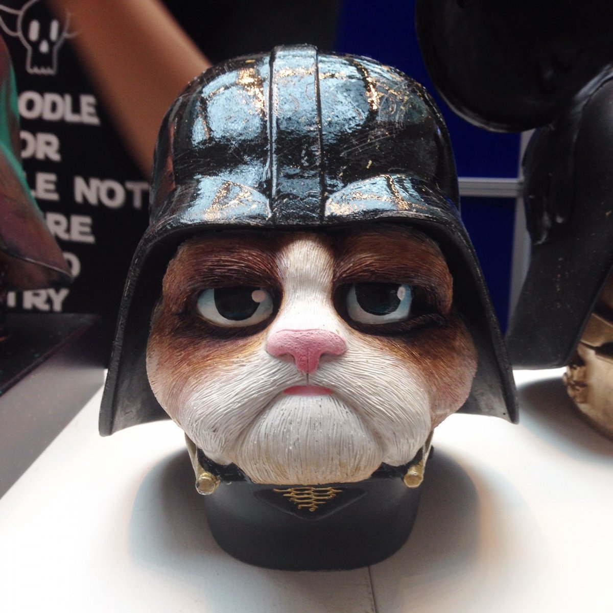 Кот Дарт Вейдер