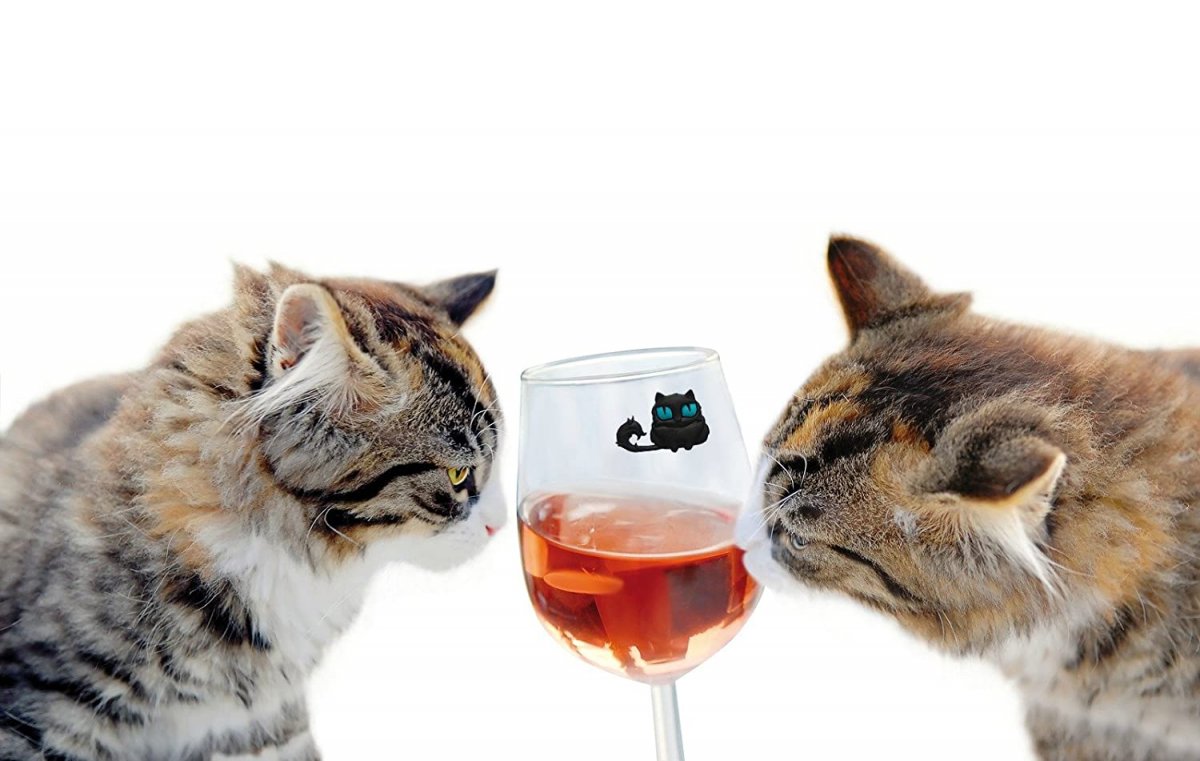 Коты в бокале