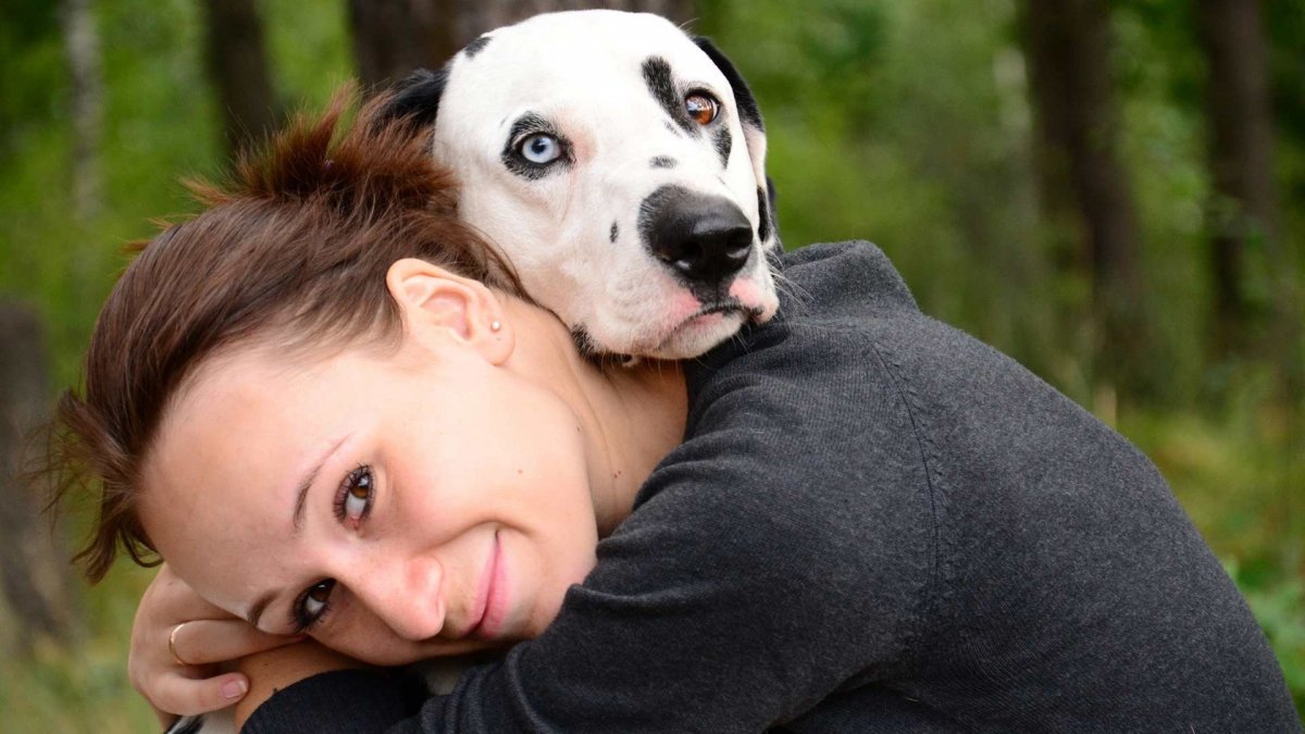 Девушка с собакой