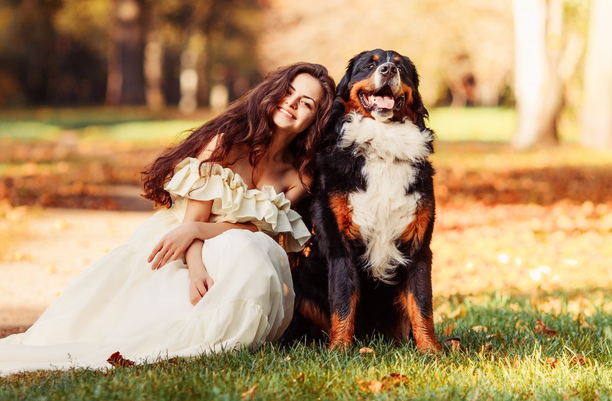 Фотосессия с собакой