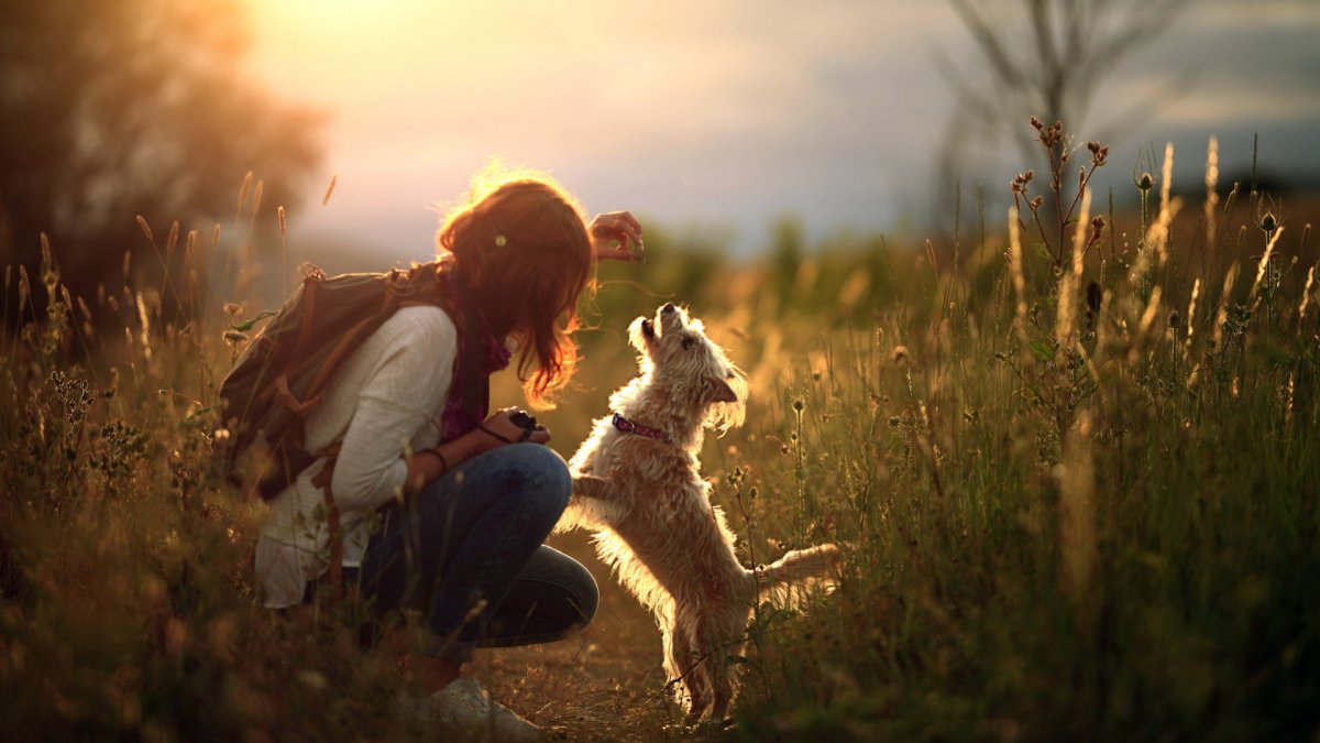 Девушка с собакой