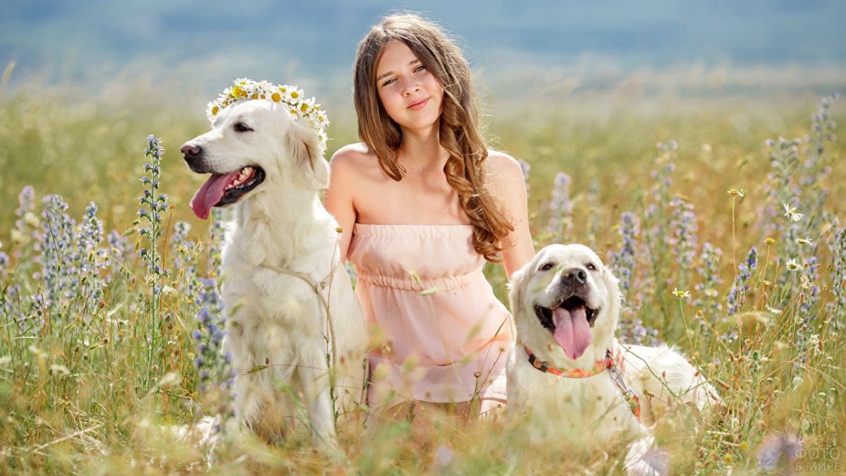 Девушки в сабо