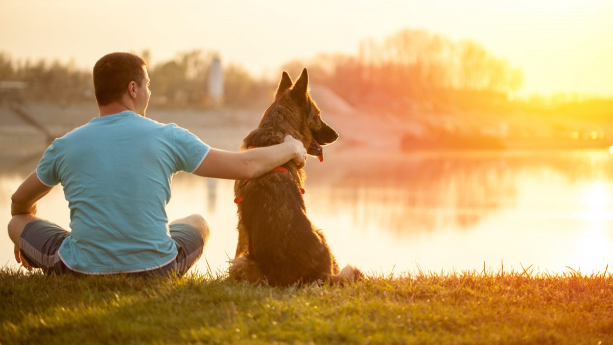 Мужчина с собакой со спины