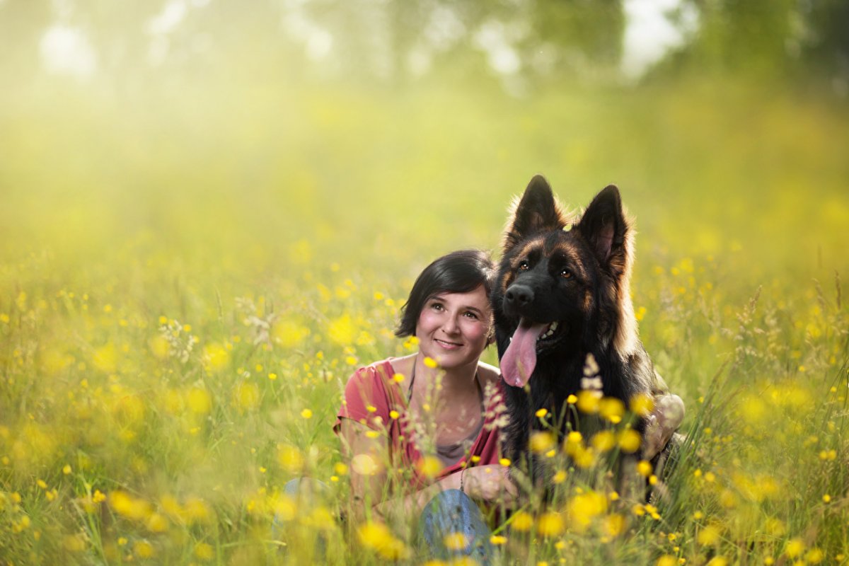 Немецкая овчарка и женщина