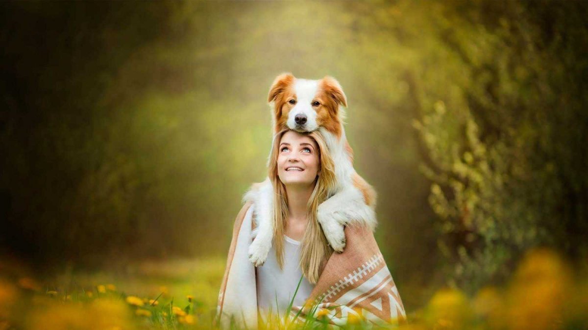 Фотосессия с собакой