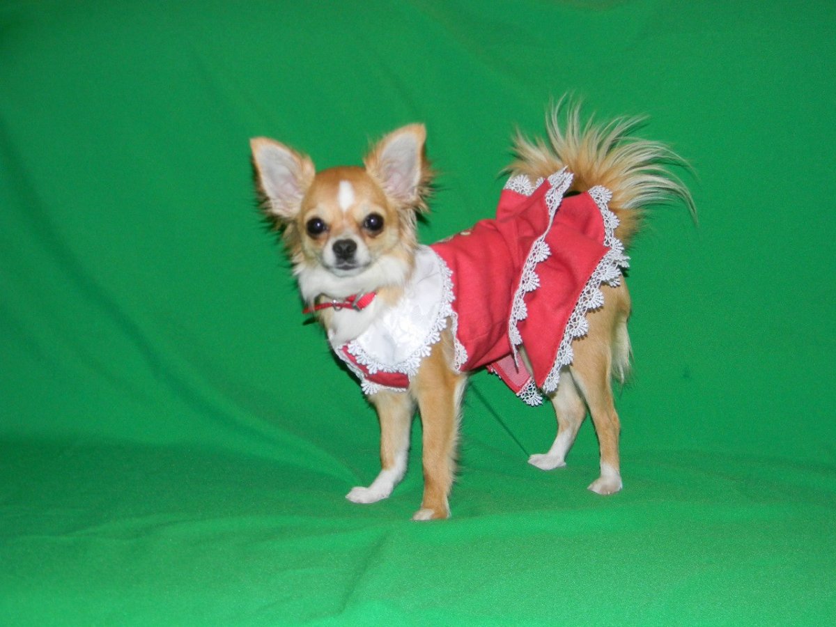 Как чистить секрет и Хуа Хуа