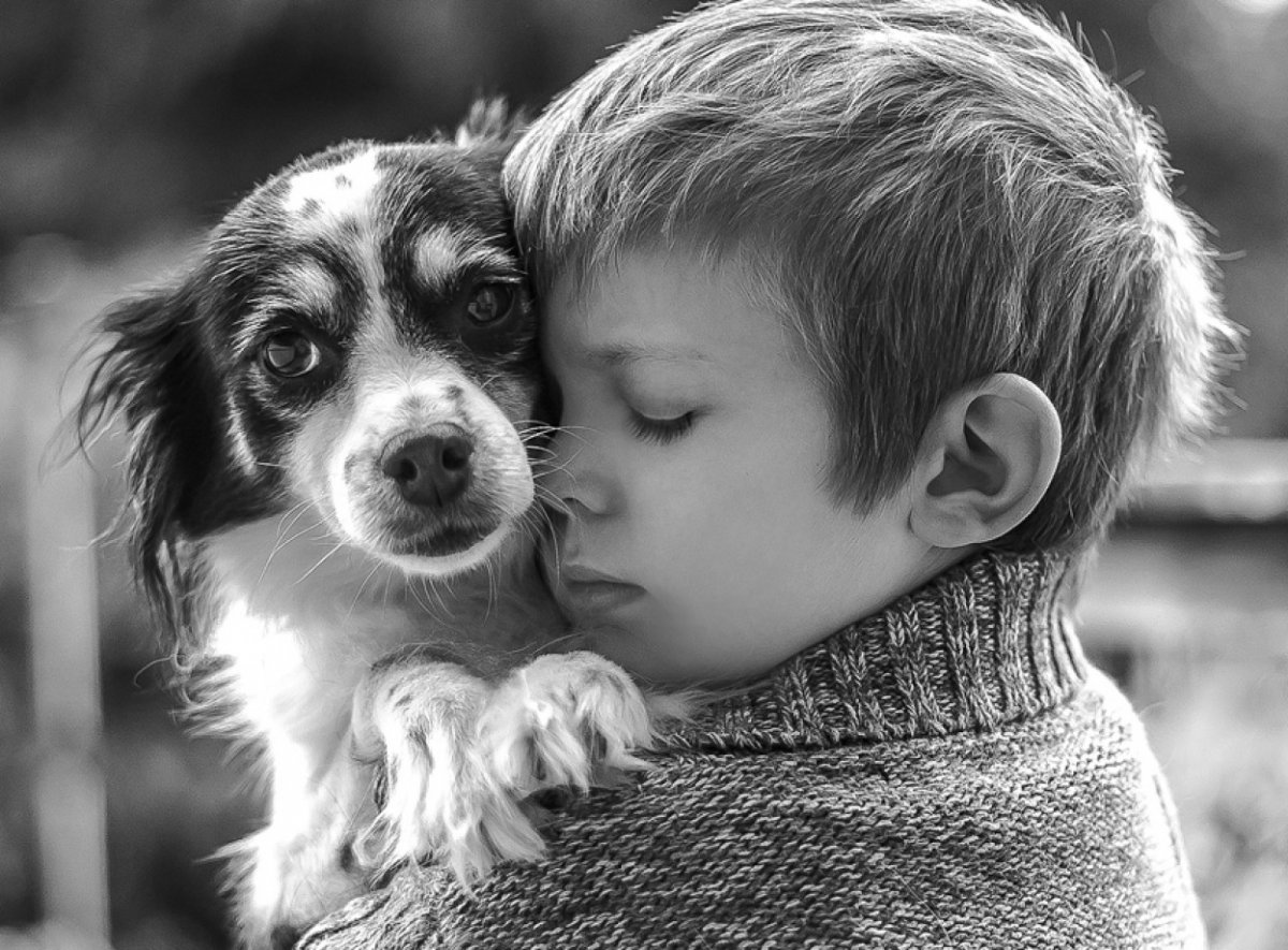 Мальчик обнимает собаку