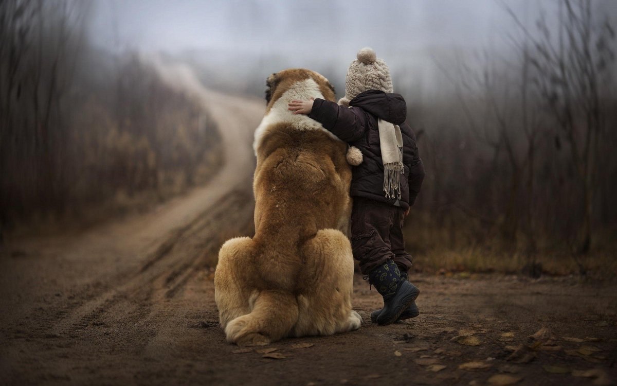 Елена Шумилова Сыктывкар