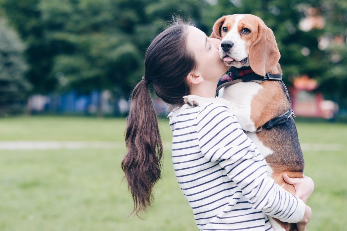 Встреча собаки с хозяином