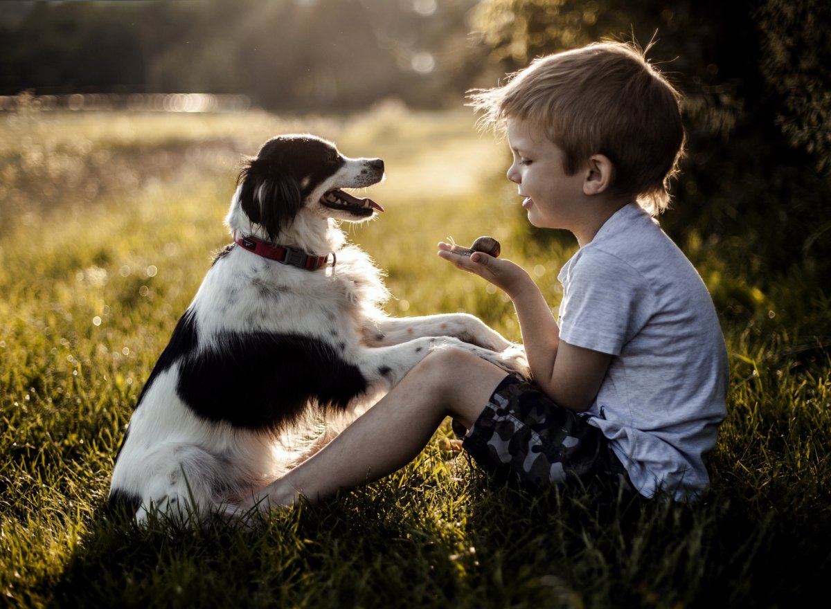 Собака для детей