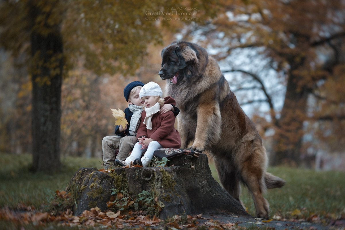 Фотохудожник Андрей Селиверстов