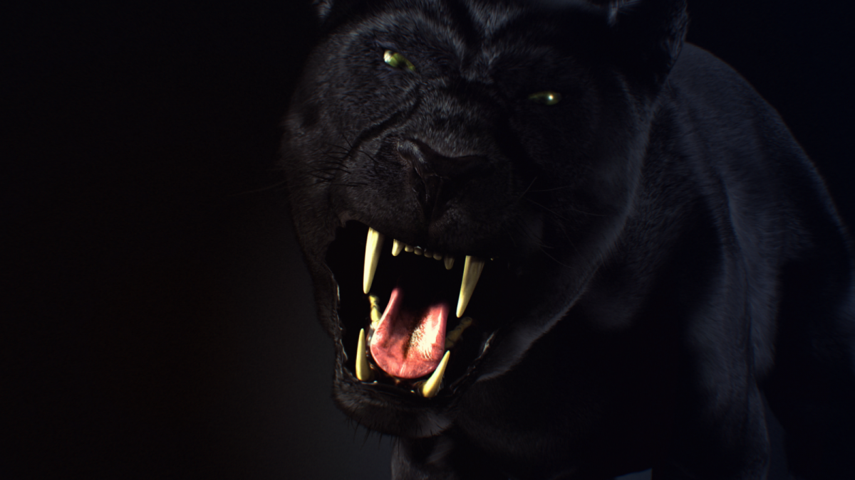 Черная Пума на черном фоне