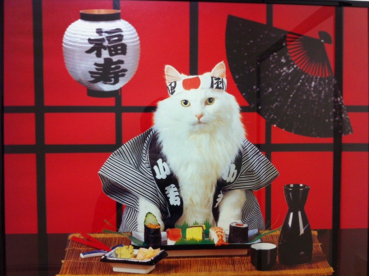 Всратый Самурай