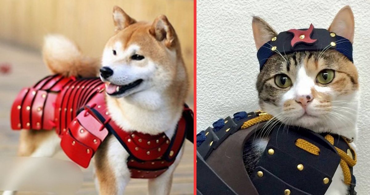 Onmyouji Arena собака