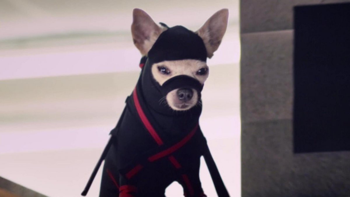 Собачий Самурай