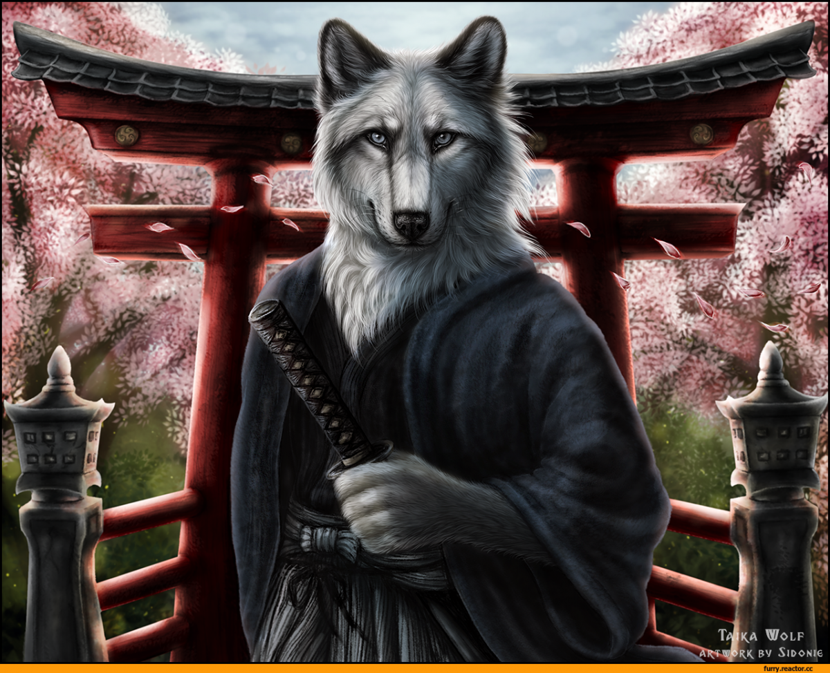 Собака какие знает комбат хаски