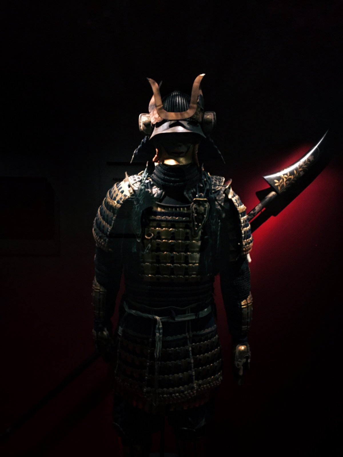 Тоса-ину щенки