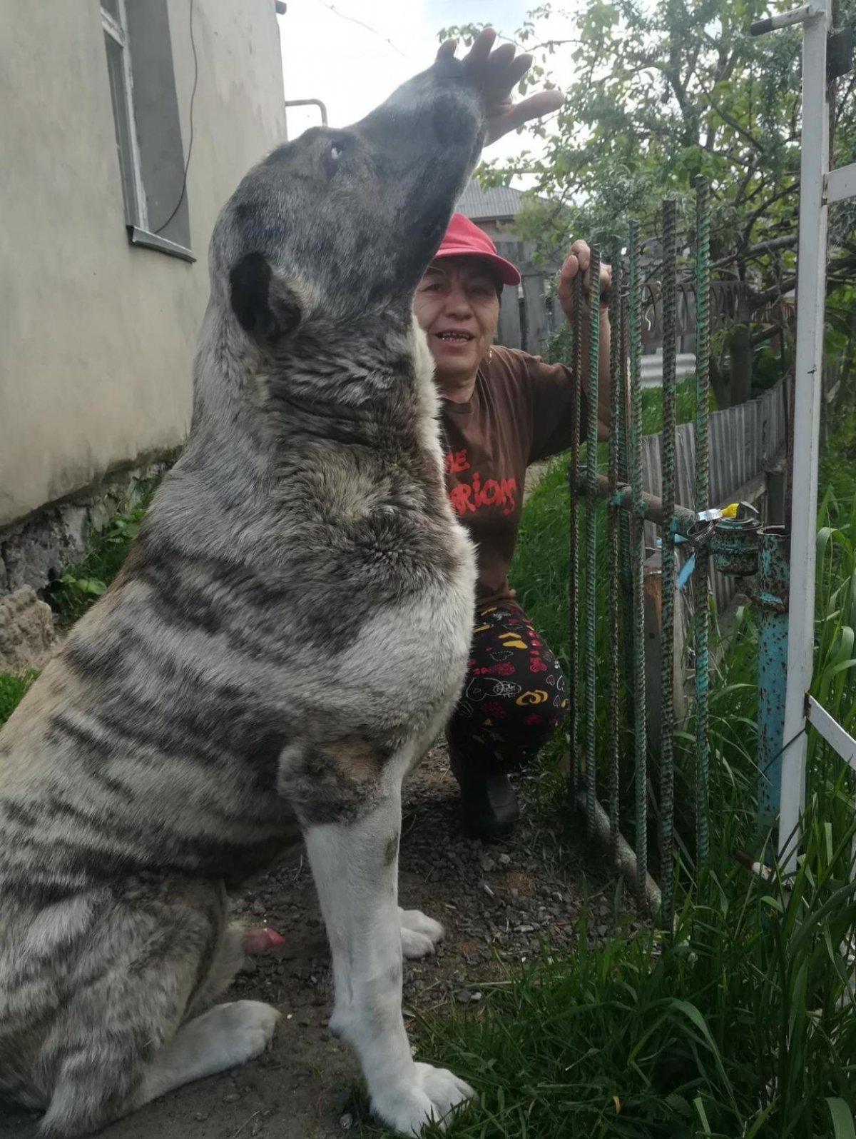 Севасский кангал