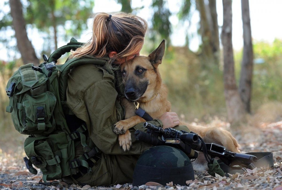 Кинолог с собакой