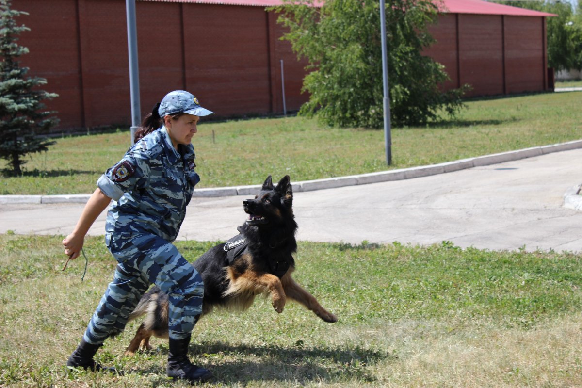 Кинолог с собакой