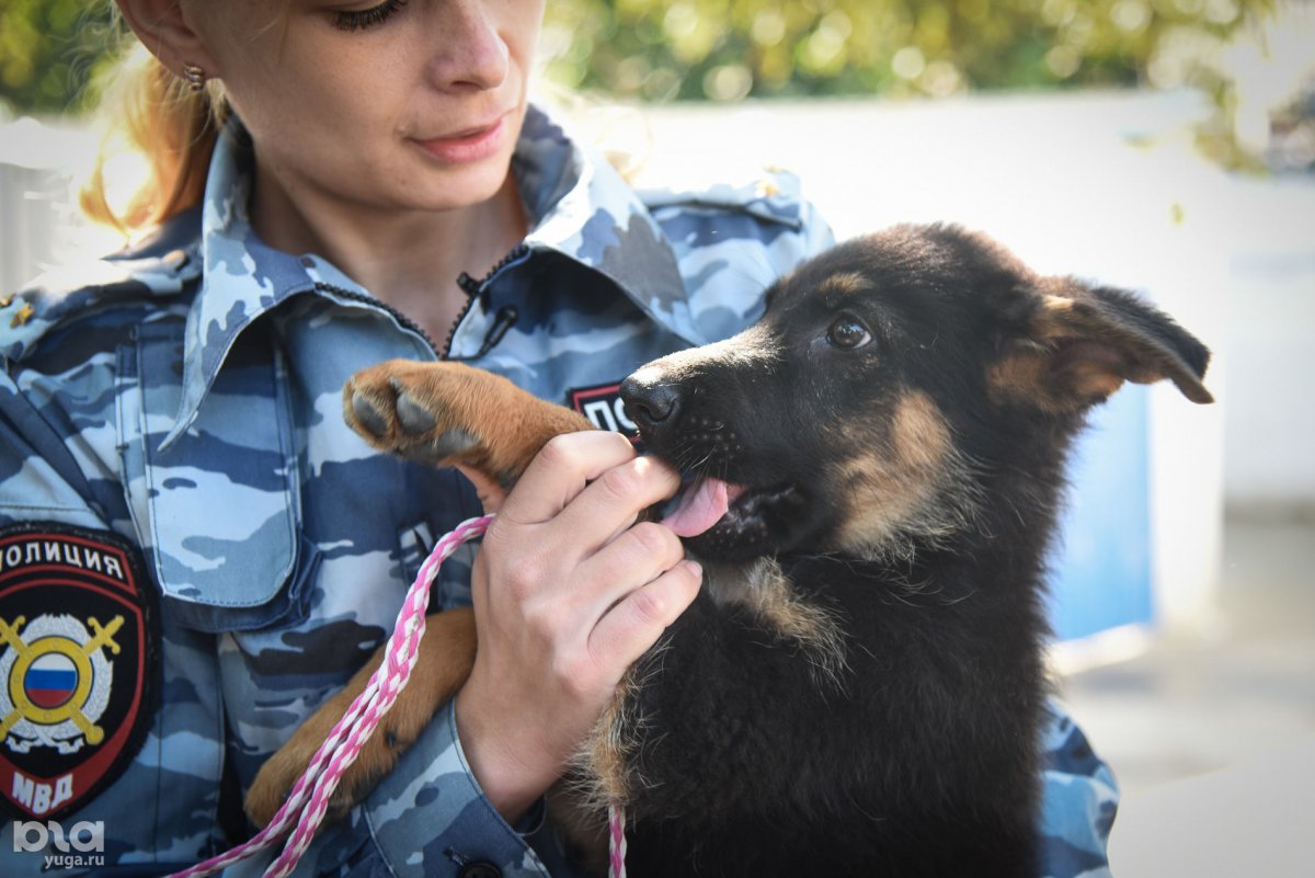 Девушка кинолог в полиции