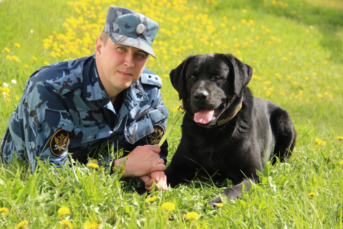 Служебные собаки ФСИН