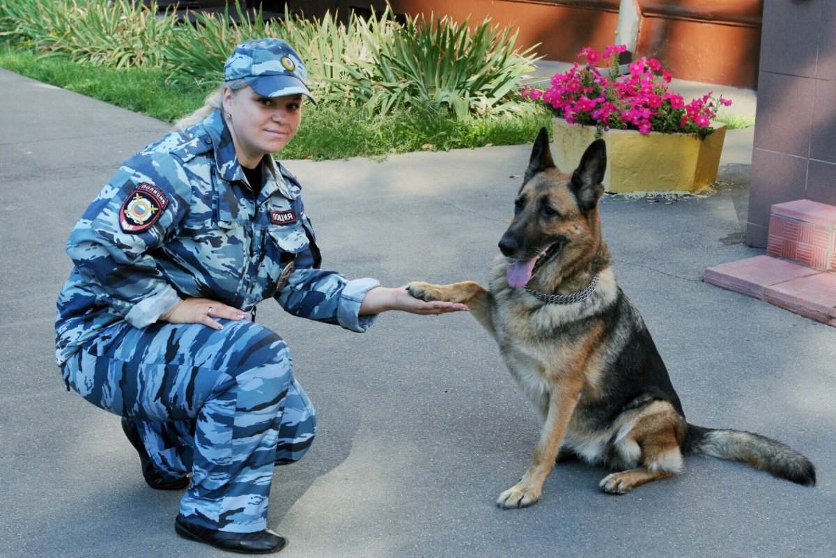 Кинологическая служба полиции МВД России