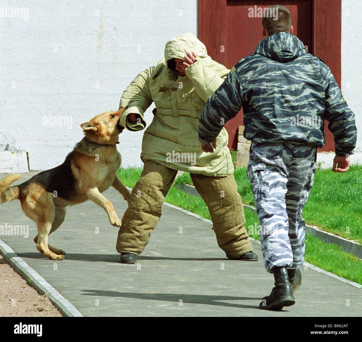 Служебно-розыскная собака