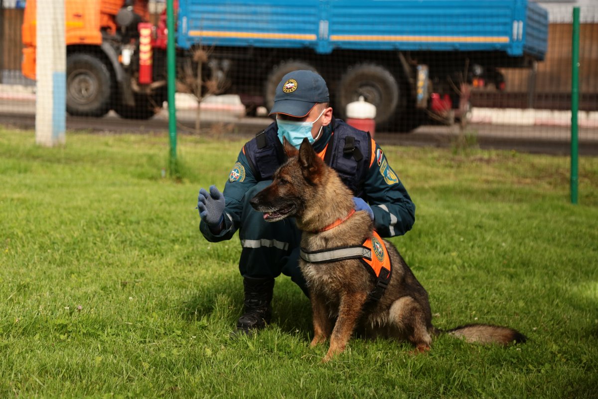 Илья Аксенов кинолог