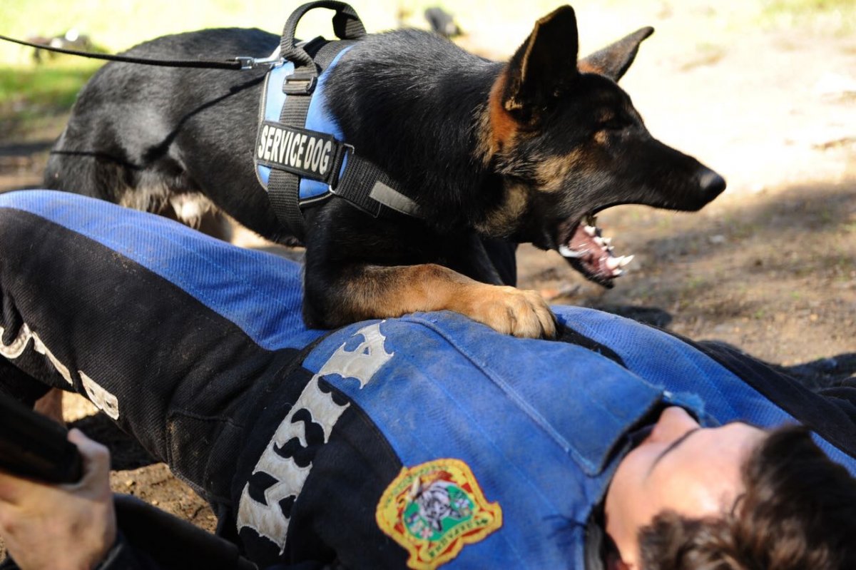 ЗКС охрана вещи