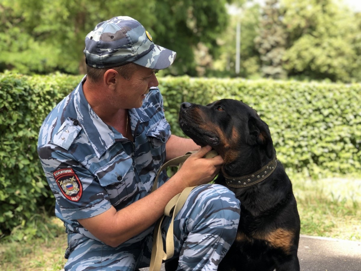 Полицейский кинолог