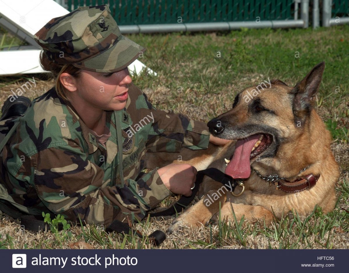 Кинолог с овчаркой