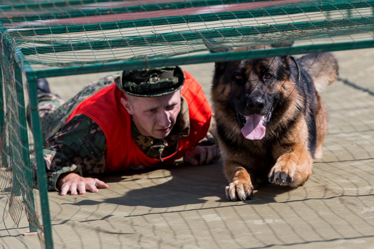 Кинолог с собакой