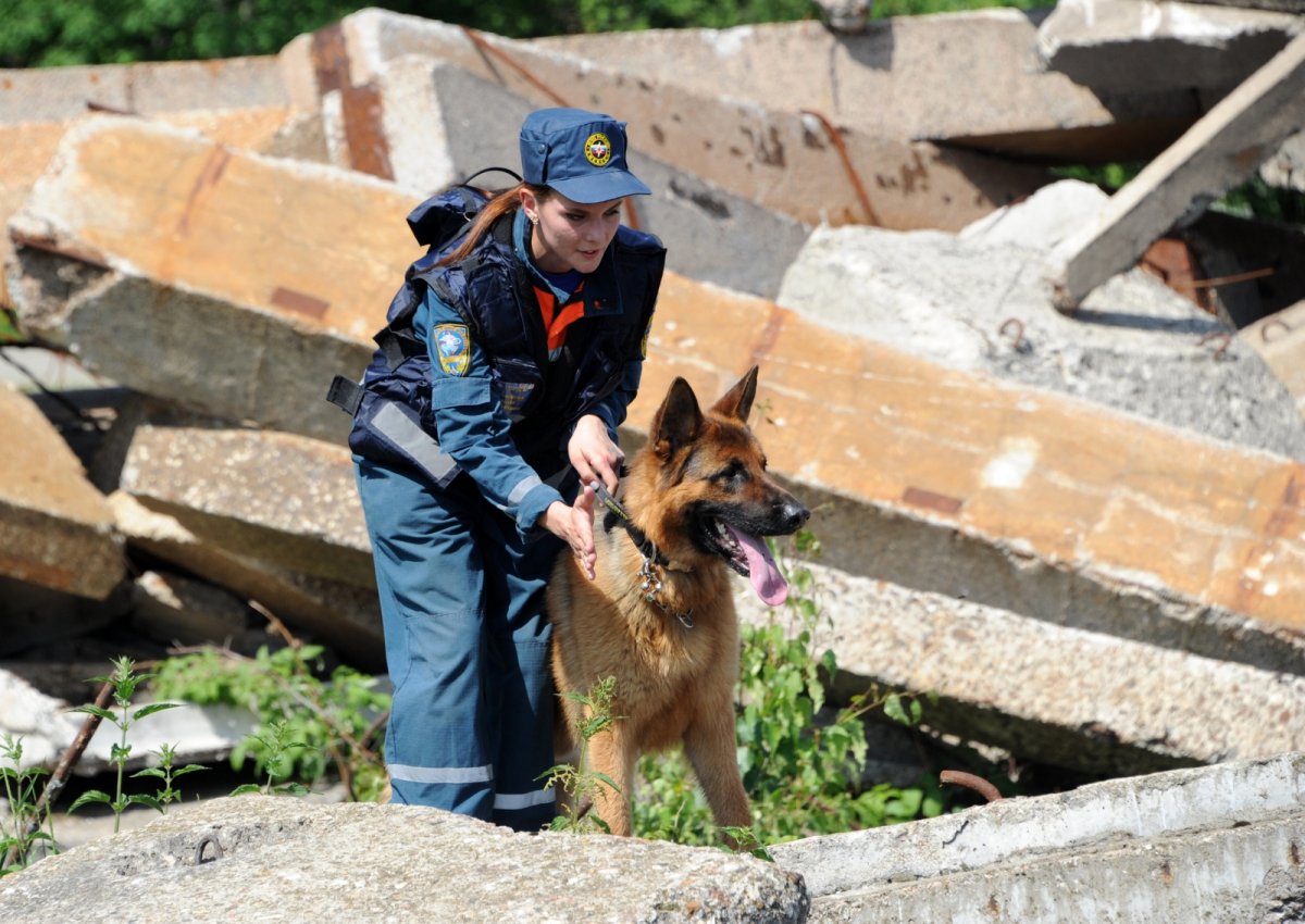 Кинологи спасатели МЧС России