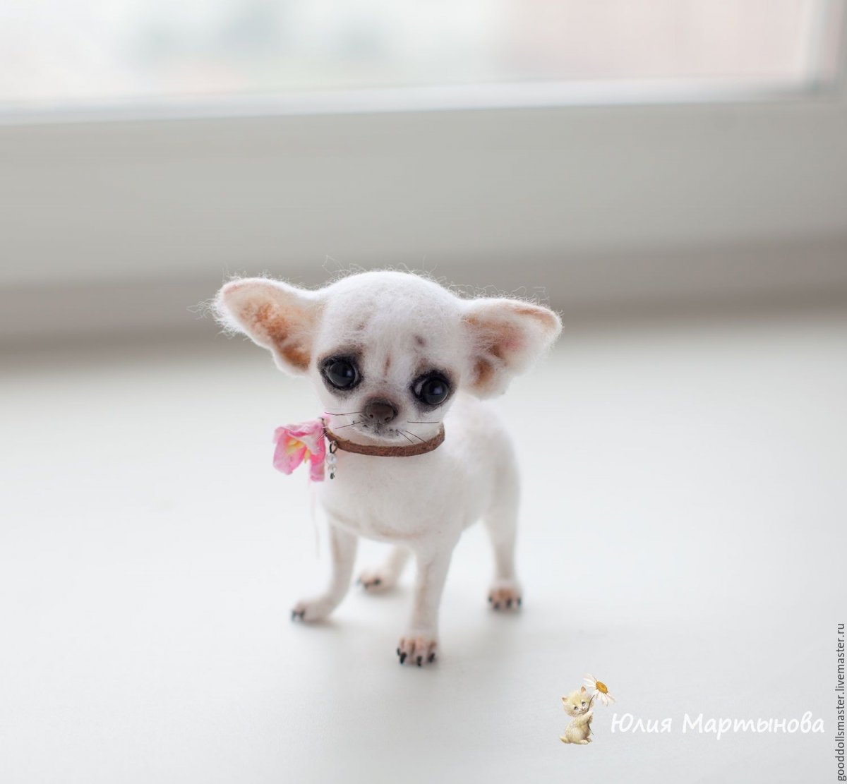 Белая маленькая собачка чихуахуа