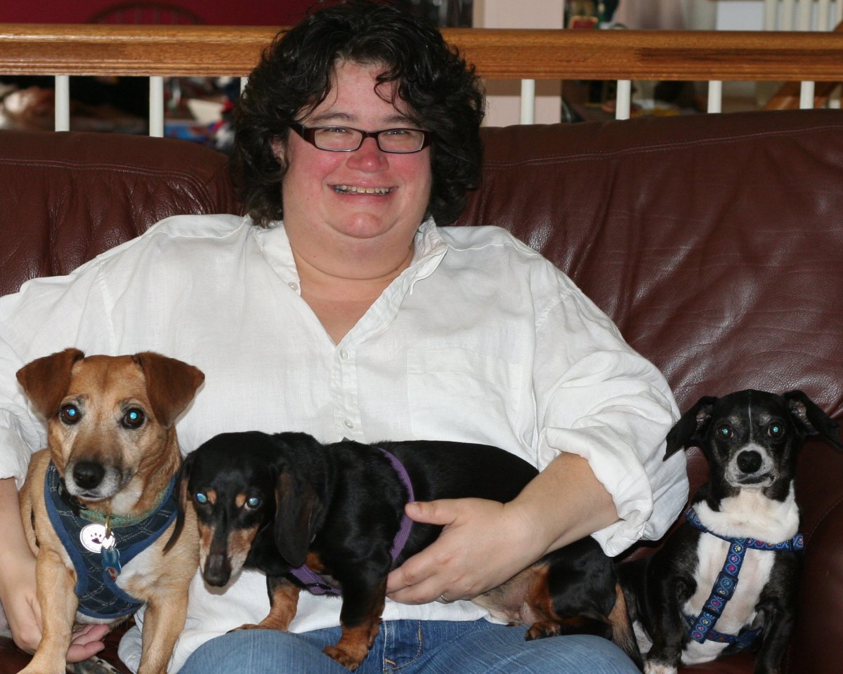 Такса Рассел