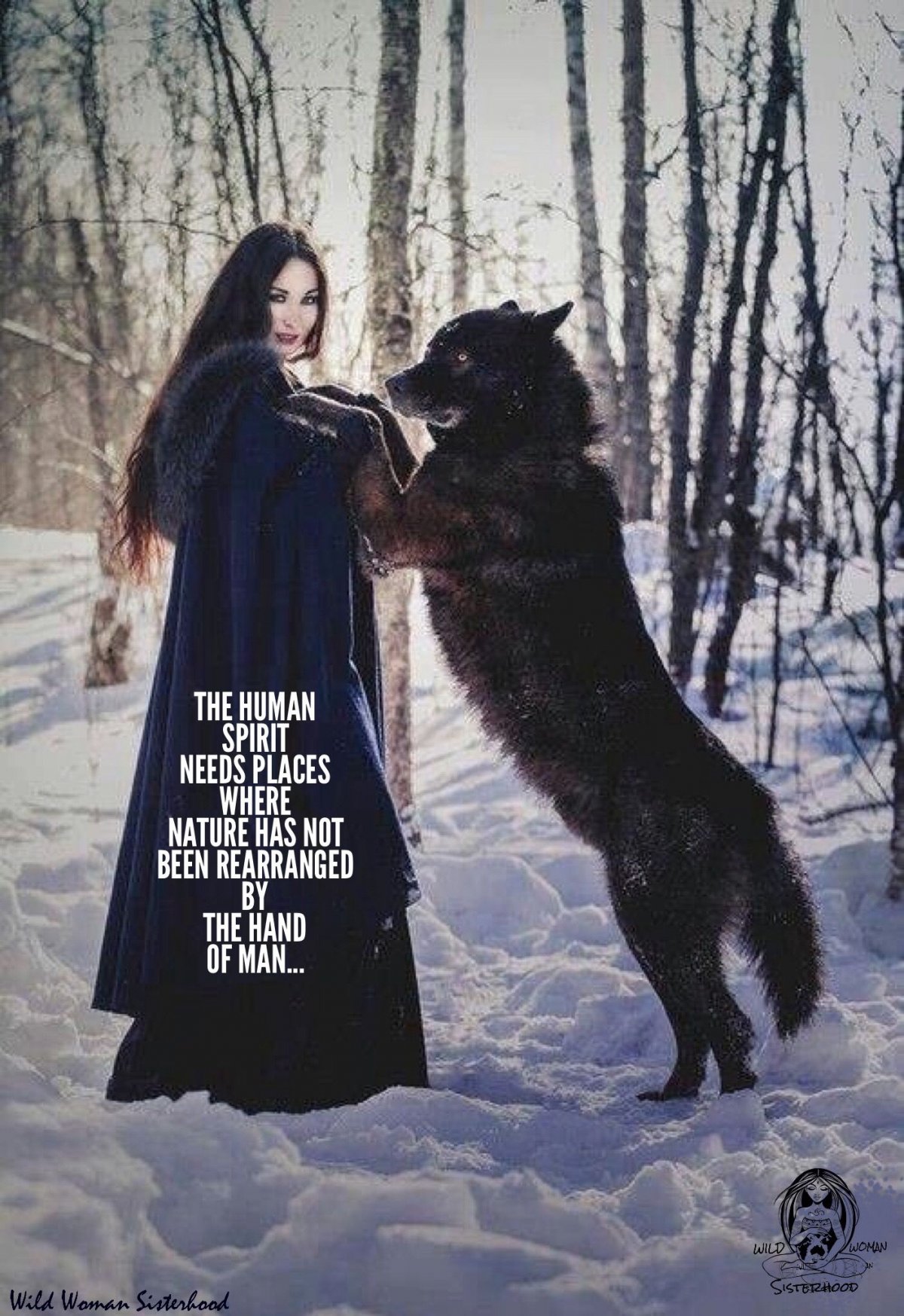 Волкособ гибрид волка