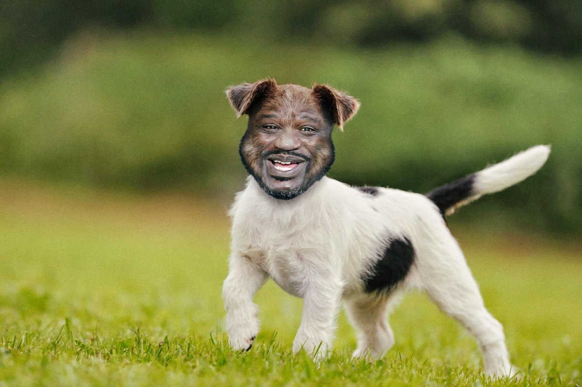 Курт Рассел порода собак