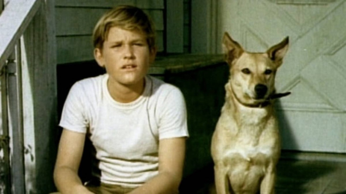 Курт Рассел собака фото