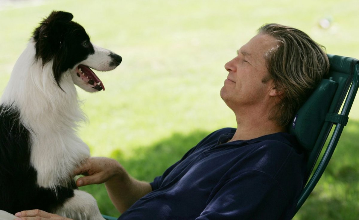 Курт Рассел собака