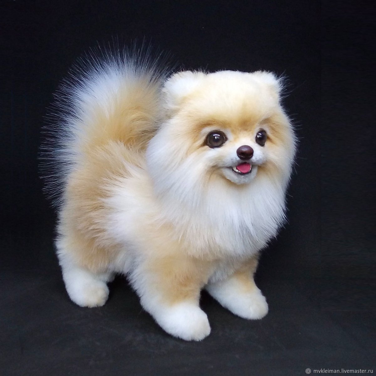 Померанский шпиц