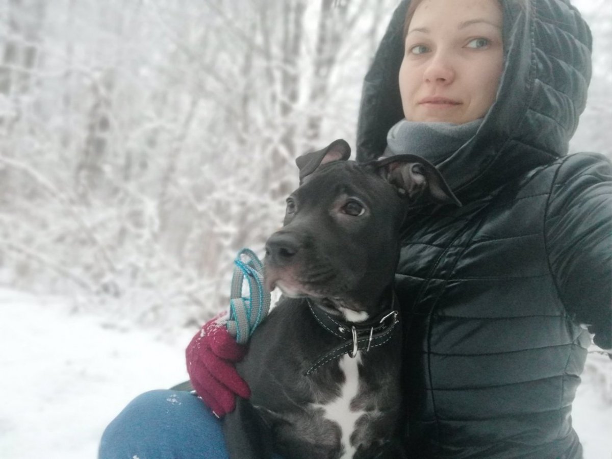 Солнцев дом 2 с собаками