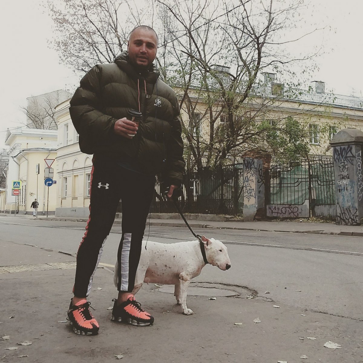 Солнцев дом 2 с собаками